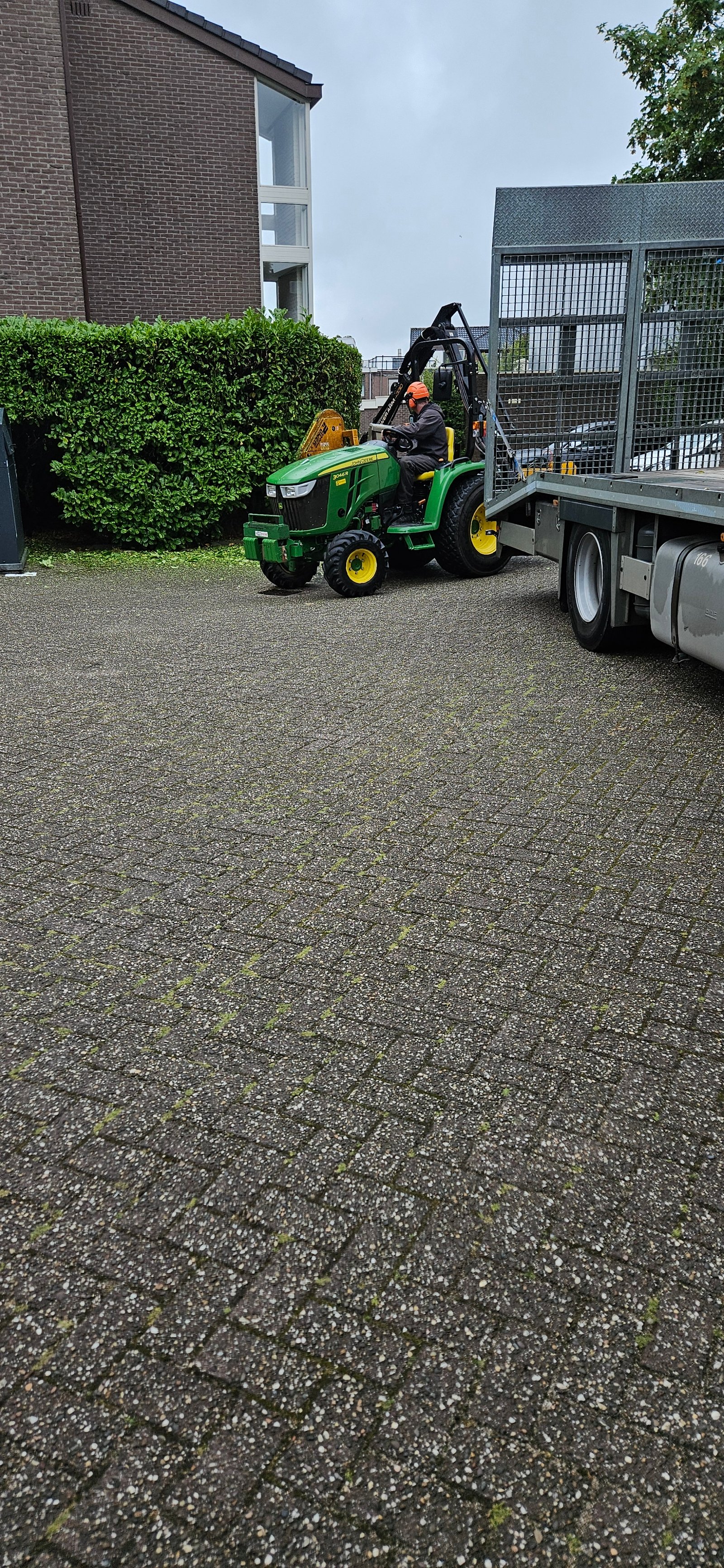 Snoeien in het groot!