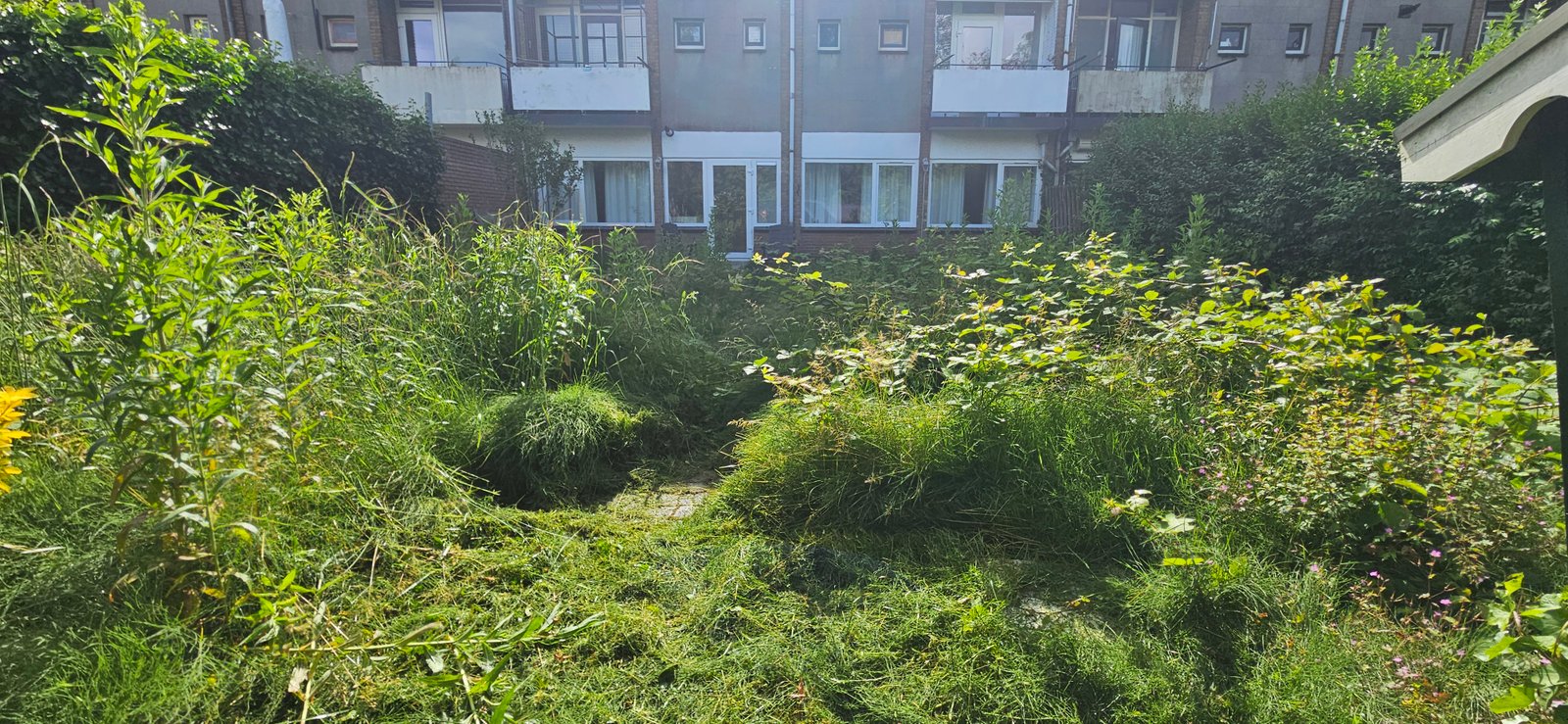 Tuin voor onderhoud, rommelig en verwaarloosd
