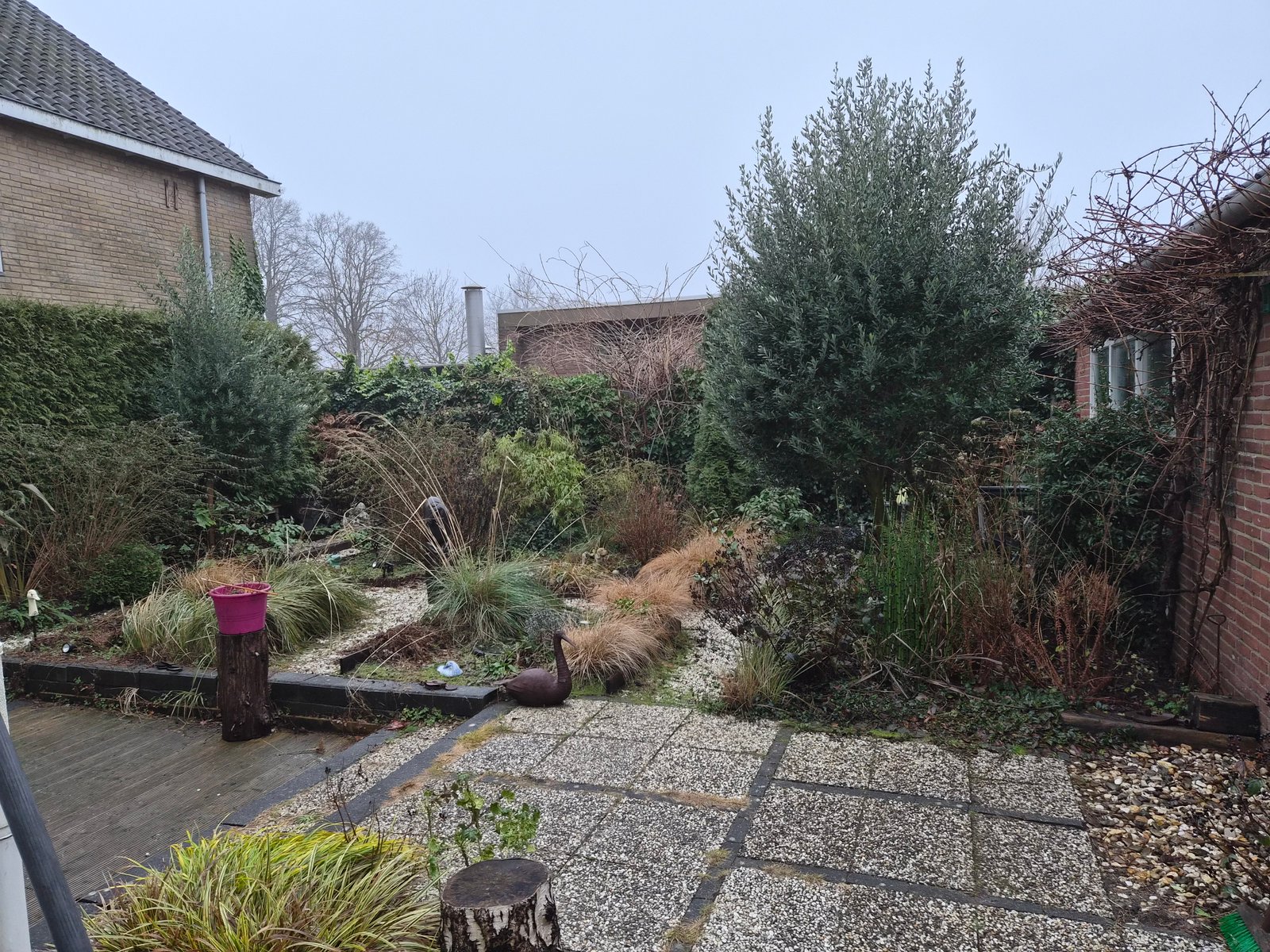 Tuin voor het onderhoud