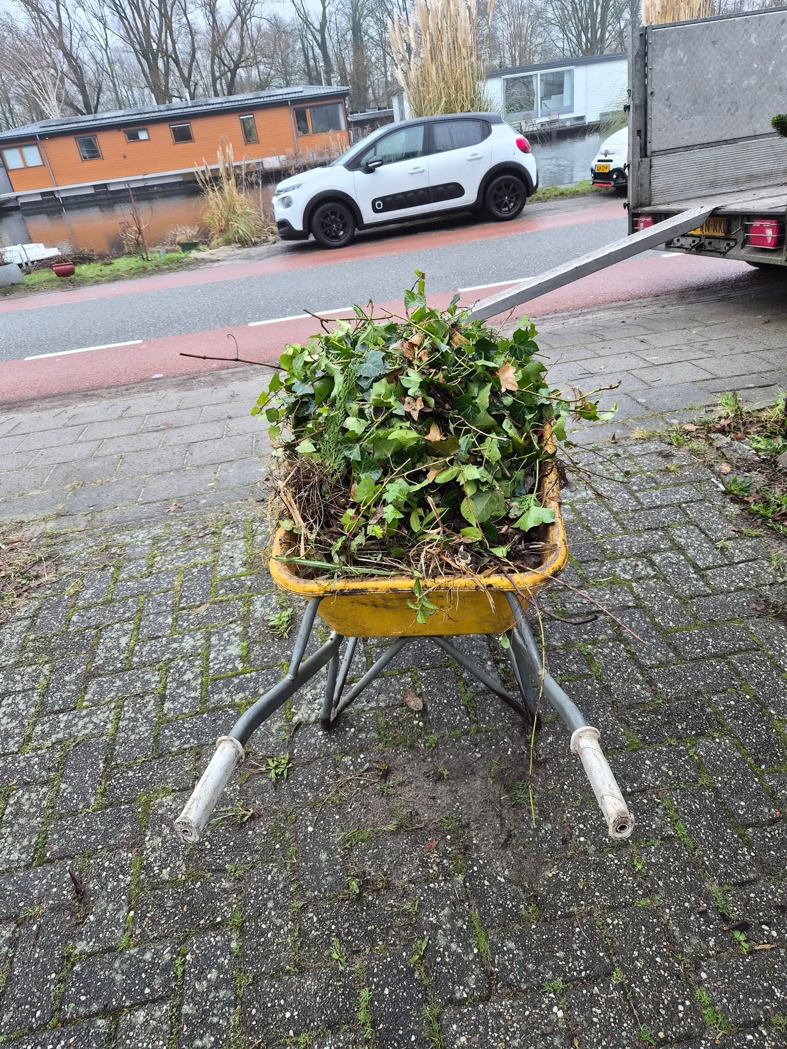 Kruiwagen vol met snoeiafval.